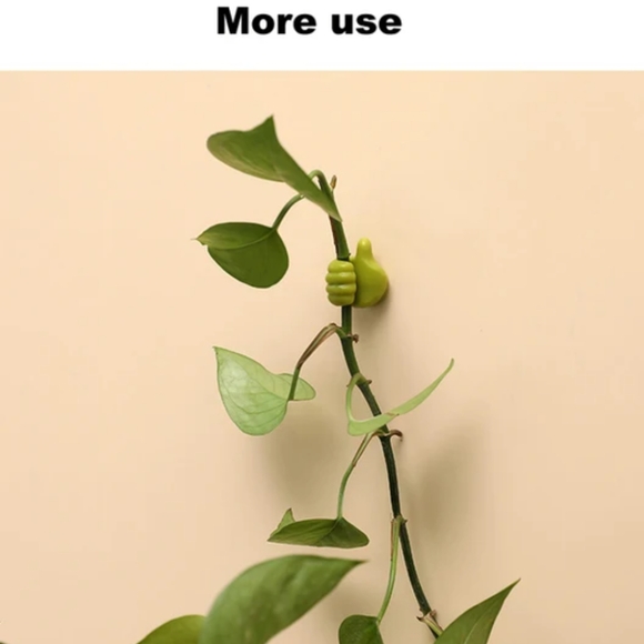 Plant stem holder 💚 - Picture 2 of 7